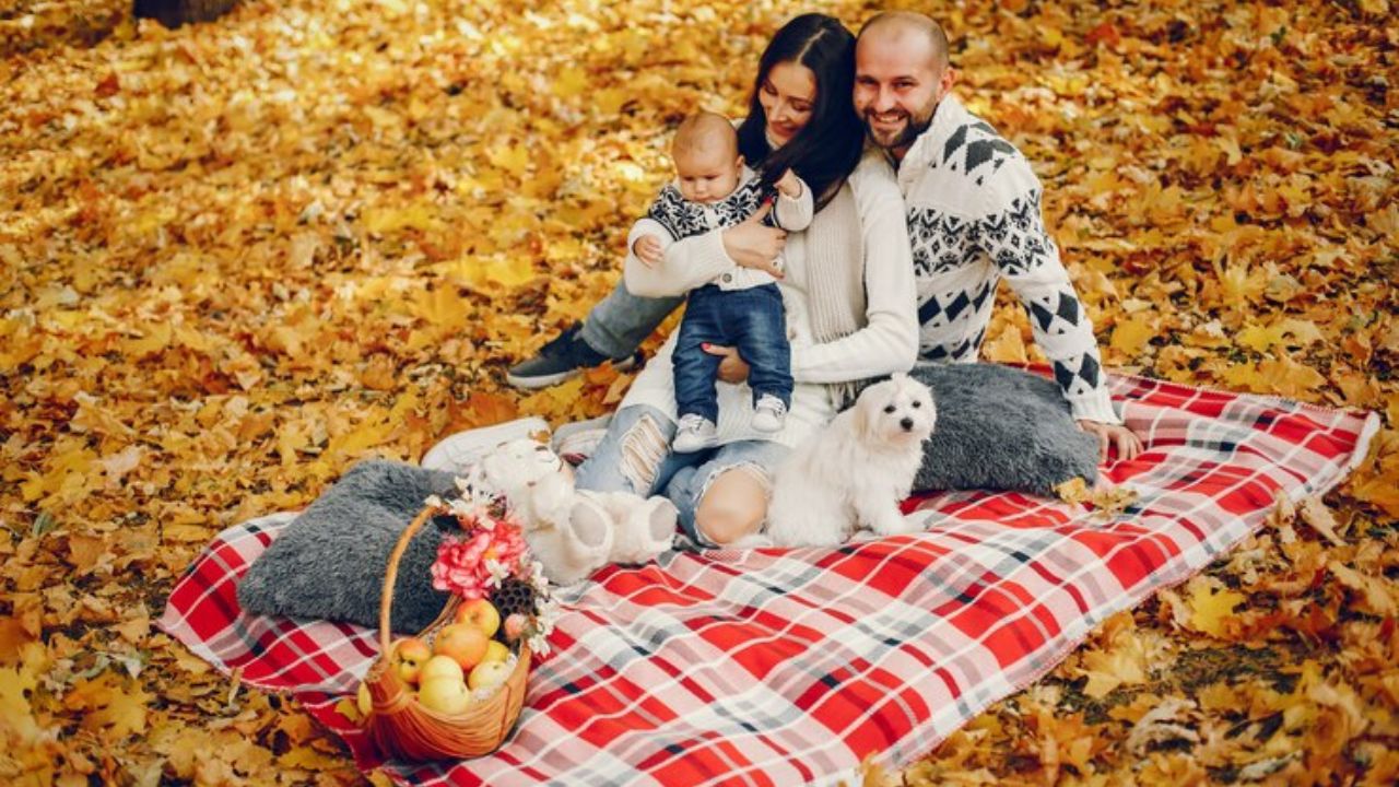 couple under blanket nyc park​