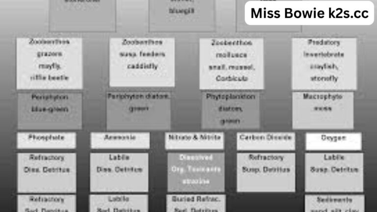 Miss Bowie k2s.cc: A Complete Guide to Understanding the Platform